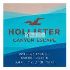 Hollister Canyon Escape toaletná voda pre mužov 100 ml