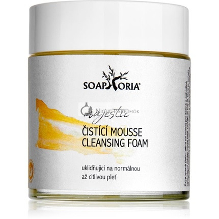 Soaphoria Care Hydratačný a Upokojujúci Čistiaci Penenie - 100 ml, Pre Citlivú Pokožku