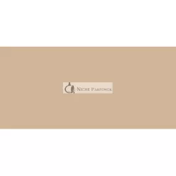 Tony Moly Luminous Goddess Aura BB Krém s SPF 37, 45 g
