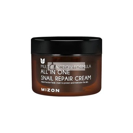 MIZON All In One Snail Repair Cream Denný a nočný pleťový hydrant s extraktom zo slimáka, 120 g