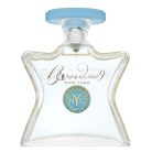 Bond No. 9 Riverside Drive parfémovaná voda pre mužov 100 ml
