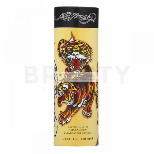 Christian Audigier Ed Hardy For Men toaletná voda pre mužov 100 ml